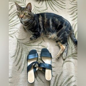 Ann Taylor heeled slides